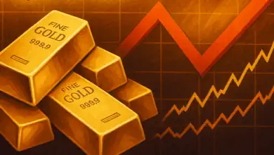 أسعار الذهب في مصر تقفز 300 جنيه خلال نوفمبر مع توقعات خفض الفائدة الأمريكية