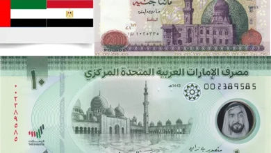 استقرار أسعار الريال والدينار والدرهم أمام الجنيه مع توقعات بهدوء سوق الصرف