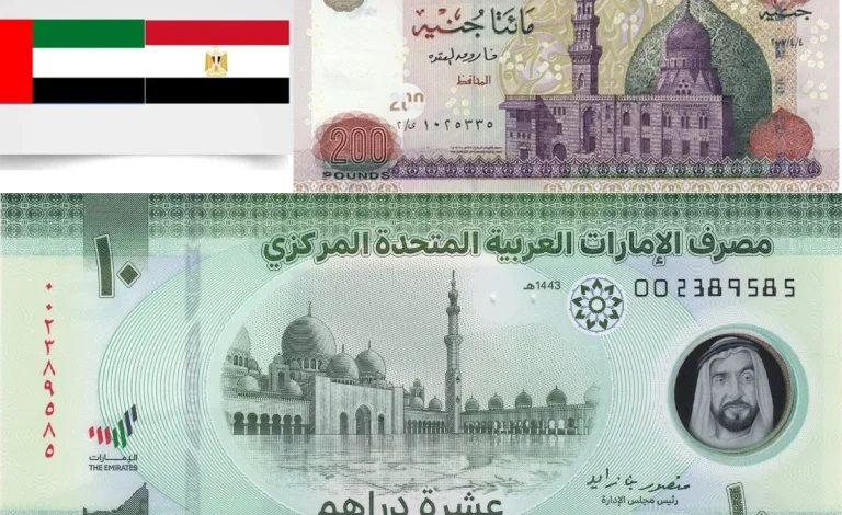 استقرار أسعار الريال والدينار والدرهم أمام الجنيه مع توقعات بهدوء سوق الصرف