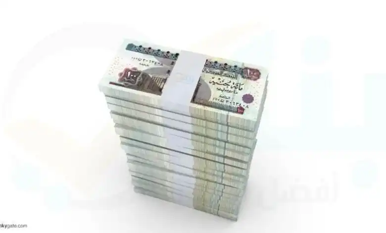 أفضل 10 حسابات توفير بعائد سنوي يصل إلى 19.75% في البنوك المصرية