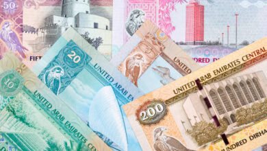 استقرار سعر الريال والدرهم واليورو والإسترليني مقابل الجنيه اليوم 10-11-2025