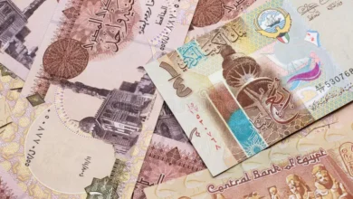 استقرار الريال السعودي والدينار الكويتي والدرهم الإماراتي أمام الجنيه المصري اليوم