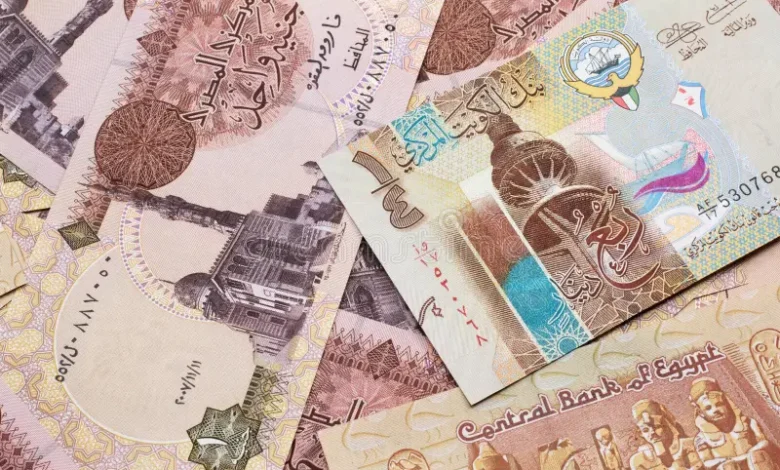 استقرار الريال السعودي والدينار الكويتي والدرهم الإماراتي أمام الجنيه المصري اليوم