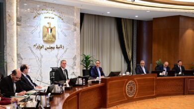 مدبولي يستعرض جهود مصر لجذب الاستثمارات الأجنبية في قطاعات الطاقة والصناعة