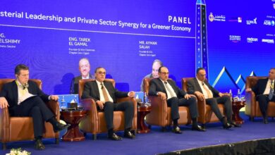 مصر تستعد لإطلاق مصانع الألواح الشمسية بطاقة محلية تصل إلى 90%