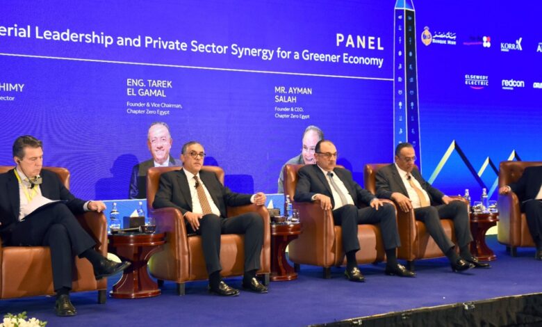 مصر تستعد لإطلاق مصانع الألواح الشمسية بطاقة محلية تصل إلى 90%