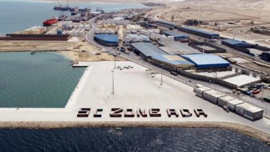 منح أول رخصة جمركية كمركز توزيع بموانئ مصر لشركة ترانسكارجو إنترناشيونال