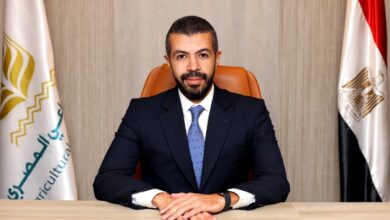 البنك الزراعي المصري يعيّن أحمد رمزي رئيسًا لقطاع المخاطر المؤسسية