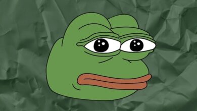 اختراق الموقع الرسمي لعملة بيبي ميمكوين ببرمجية Inferno Drainer والخسائر تتجاوز 77% خلال عام