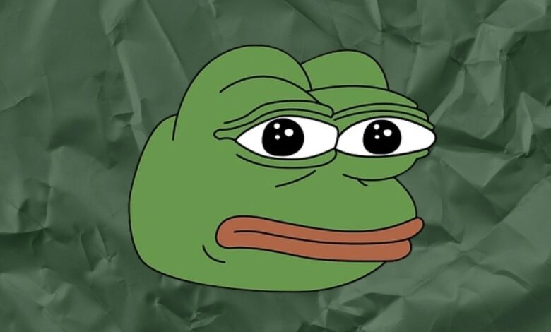 اختراق الموقع الرسمي لعملة بيبي ميمكوين ببرمجية Inferno Drainer والخسائر تتجاوز 77% خلال عام