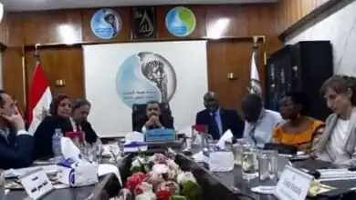 نائب وزير الإسكان يترأس اجتماعًا مع البنك الإفريقي لمتابعة مشروع الصرف الصحي بالأقصر