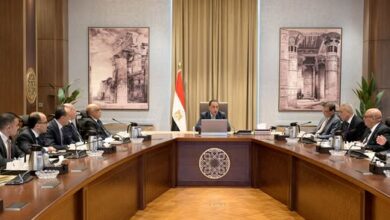 مدبولي يترأس اجتماعًا لمتابعة حل مشكلات المستثمرين وتحسين مناخ الاستثمار في مصر