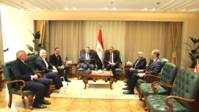 وزير العمل يبحث مع لجنة القوى العاملة بمجلس الشيوخ تعزيز التشريعات وسوق العمل