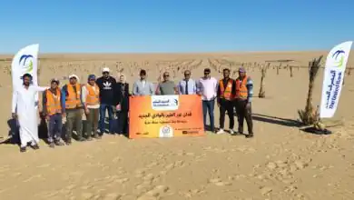 المصرف المتحد يطلق مبادرة زراعة فدان الخير - تمور لتعميق التكافل الاجتماعي