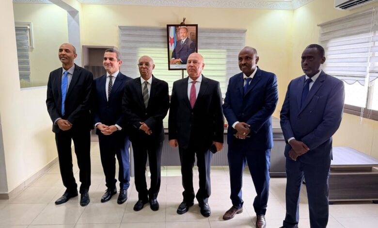 كامل الوزير في جيبوتي: لقاءات رفيعة مع وزراء لتعزيز التعاون الصناعي والتجاري والزراعي