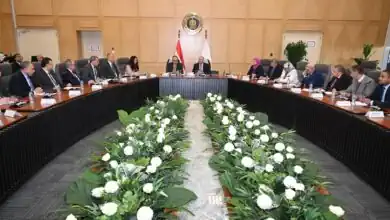 كامل الوزير: دعم كامل لمستثمري الغزل والنسيج.. شرط ربط رخص الملابس الجاهزة بإنتاج غزل ونسيج