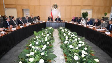 كامل الوزير: دعم كامل لمستثمري الغزل والنسيج.. شرط ربط رخص الملابس الجاهزة بإنتاج غزل ونسيج