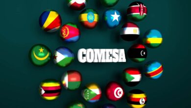 الدول الأعضاء في الكوميسا تبدأ التداول بالعملات المحلية عبر منصة DRPP