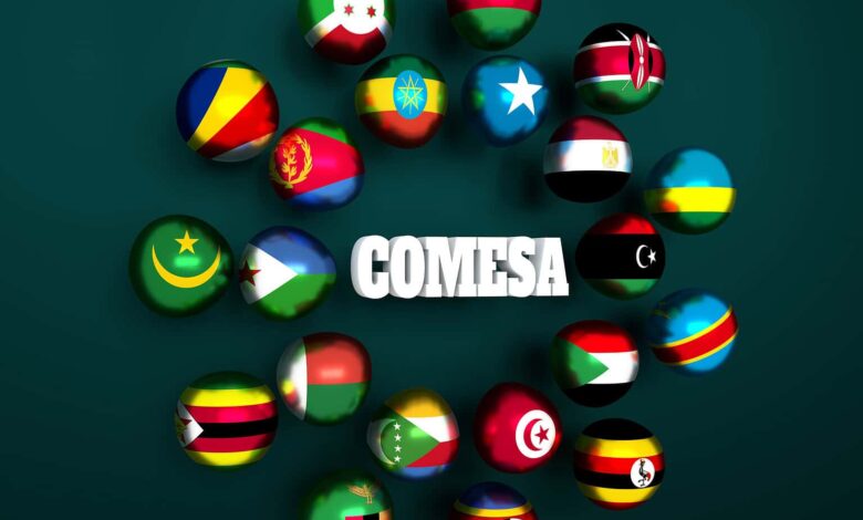 الدول الأعضاء في الكوميسا تبدأ التداول بالعملات المحلية عبر منصة DRPP