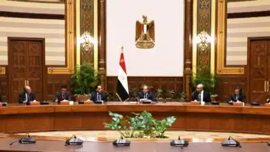 الرئيس السيسي يبحث مع خبراء اليابان توسيع المدارس اليابانية في مصر