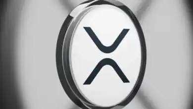 XRP تتفوق على البيتكوين والإيثيريوم وتصبح أبرز عملة مشفرة في 2026