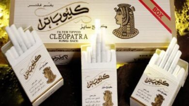 شعبة الدخان تنفي رفع أسعار السجائر وتكشف سعر كليوباترا الرسمي