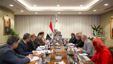 737 مشروعًا ضمن "حياة كريمة" تنفذها شركات قطاع الأعمال في 13 محافظة