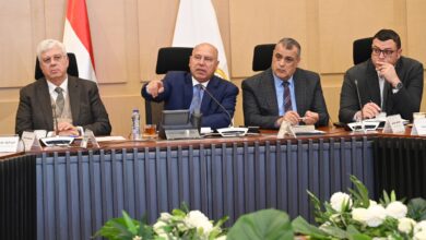 كامل الوزير يترأس اجتماع التنمية الصناعية.. موافقة على مشروعين بـ1.291 مليار دولار