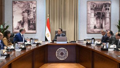 مدبولي يتابع مع وزير البترول الاكتفاء الذاتي.. واستثمار صيني 2 مليار دولار في الفوسفات