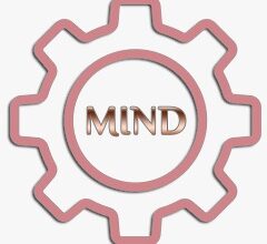 تطبيق دعم المستثمرين الجديد يربطك بـ15 جهة حكومية بنافذة واحدة