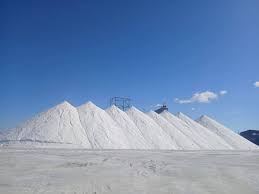 النصر للملاحات تصدر أكبر شحنة ملح مغسول في تاريخها.. نمو ملحوظ في الإيرادات