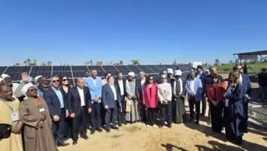 محافظ المركزي ووزير الزراعة يفتتحان نموذج زراعة قصب السكر الذكية بأسوان بـ60 فدانًا