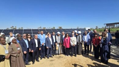 محافظ المركزي ووزير الزراعة يفتتحان نموذج زراعة قصب السكر الذكية بأسوان بـ60 فدانًا