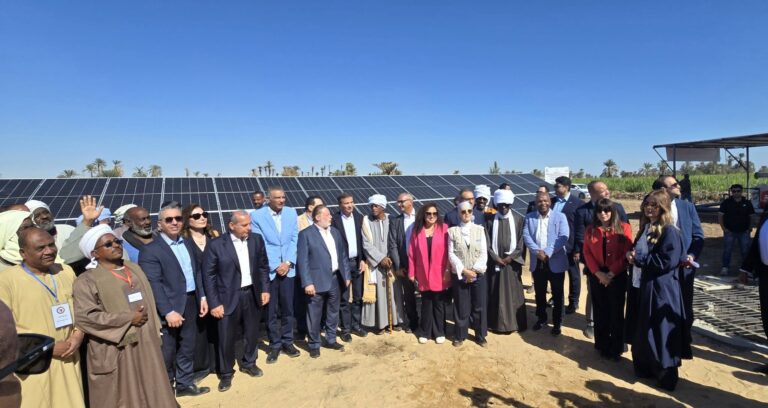 محافظ المركزي ووزير الزراعة يفتتحان نموذج زراعة قصب السكر الذكية بأسوان بـ60 فدانًا