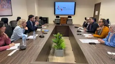مصر وألمانيا تستعدان للدورة السابعة للجنة الاقتصادية المشتركة لتعزيز التجارة والاستثمار