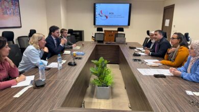 مصر وألمانيا تستعدان للدورة السابعة للجنة الاقتصادية المشتركة لتعزيز التجارة والاستثمار