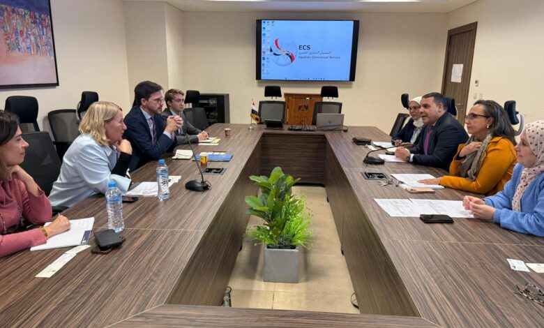 مصر وألمانيا تستعدان للدورة السابعة للجنة الاقتصادية المشتركة لتعزيز التجارة والاستثمار