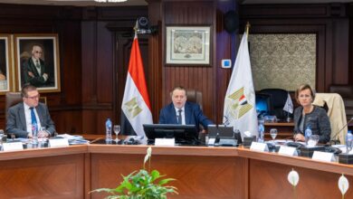 حسن عبد الله: برنامج دعم البنوك الإفريقية عزز الإصلاحات المالية