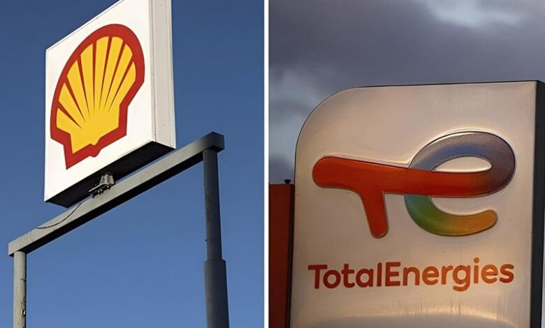 مصر تجدد تعاقدها مع شل وتوتال لاستيراد 60 شحنة غاز مسال في 2026