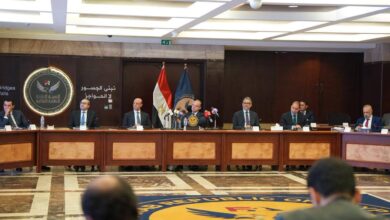 محمد فريد، رئيس الهيئة العامة للرقابة المالية