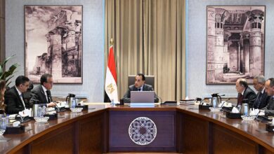 مدبولي يتابع توافر الأدوية وسداد مستحقات الشركات.. نمو 42% في قيمة تداول الأدوية