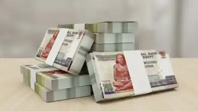 البنك المركزي يقبل عطاءات أذون خزانة 273 يوم بـ60.31 مليار جنيه