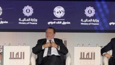 حسن عبدالله: الإجراءات المصرية خفضت التضخم من 40% إلى 12%.. وسعر الصرف يستجيب للعرض والطلب