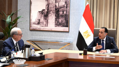 مدبولي يوجه بتسريع هيكلة الشركات.. نقل 40 للصندوق السيادي وقيد 20 بالبورصة