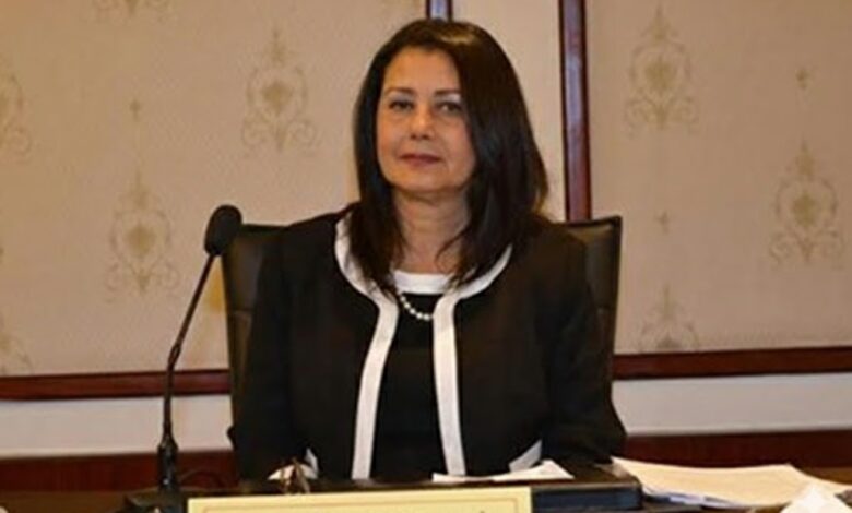 نيفين كشميري: دولار في الصورة الذهنية يوفر 10 دولارات وقت الأزمات