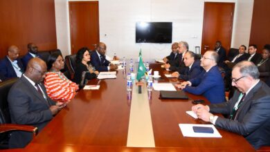 عبد العاطي يلتقي رؤساء بنكي التصدير والاستيراد الأفريقي والتنمية الأفريقي ومديرة النيباد