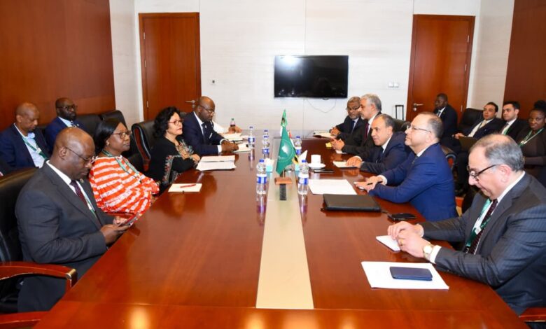 عبد العاطي يلتقي رؤساء بنكي التصدير والاستيراد الأفريقي والتنمية الأفريقي ومديرة النيباد