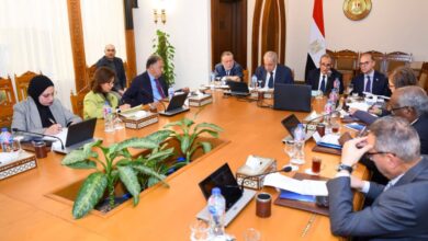 بحضور حسن عبد الله والأتربي... الوكالة المصرية للشراكة تنطلق رسميًا في اجتماعها الأول