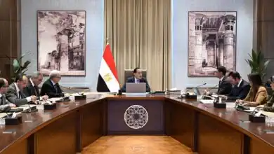 مدبولي يستعرض مع وزير الصناعة رؤية تعميق الصناعة وزيادة الصادرات وجذب الاستثمارات