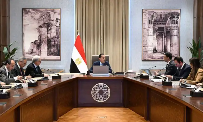 مدبولي يستعرض مع وزير الصناعة رؤية تعميق الصناعة وزيادة الصادرات وجذب الاستثمارات